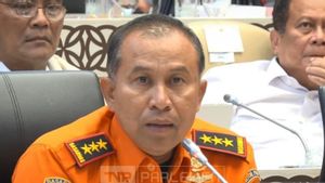 Black Box Pesawat ATR yang Jatuh di Gunung Bulusaraung Masih Dicari