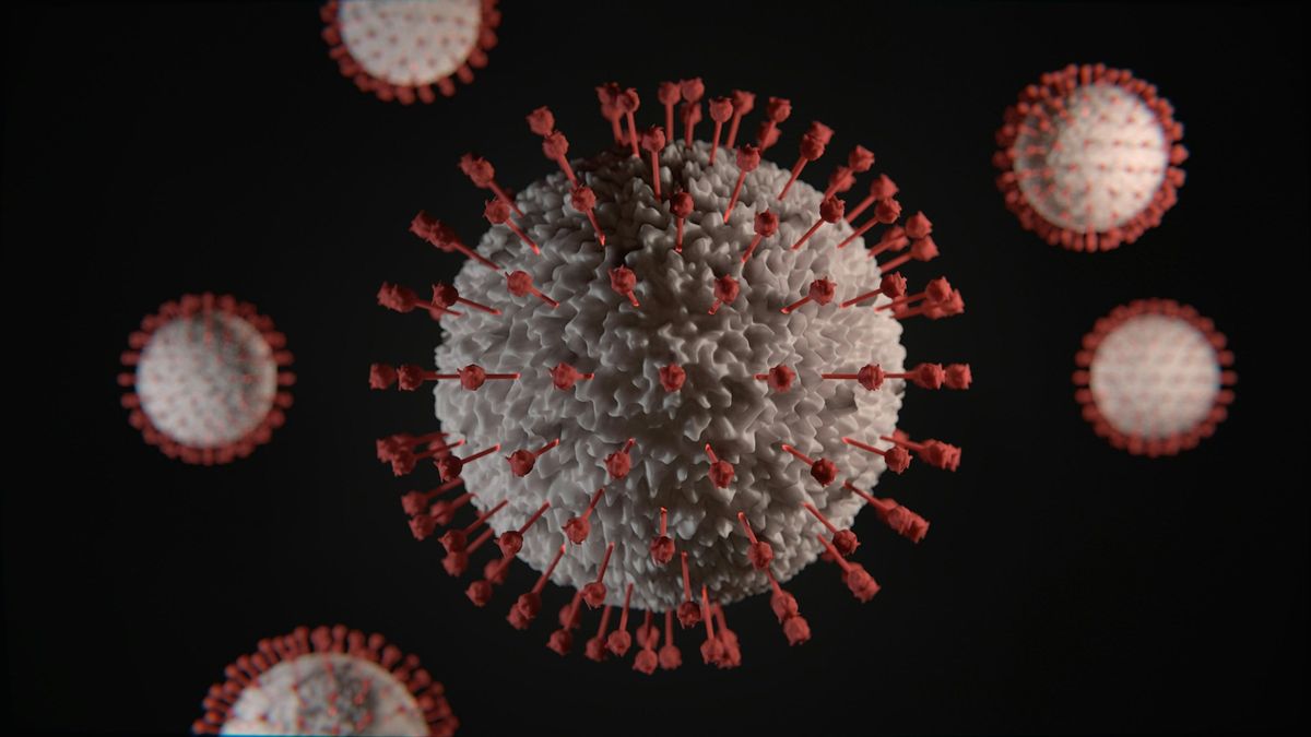 Not Animals Not Plants, Are Viruses Living Beings or Just Parasites?