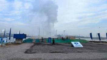 BUMN Energi China Didorong Makin Hijau, Gurun Disulap Jadi Pembangkit