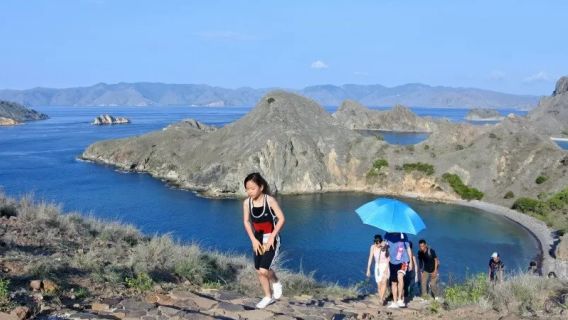 Korban Gigitan Komodo di Pulau Rinca NTT Berangsur Pulih