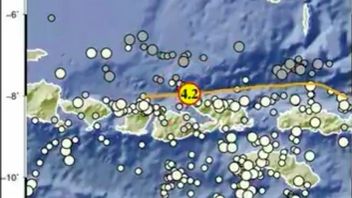 スンバワは金曜日の早朝にマグニチュード4.2の地震に見舞われた。