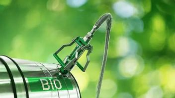 HIP Bioethenol November Down To IDR 9,013 Per Liter