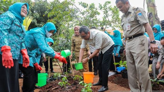 Pj Gubernur DKI Serahkan 6 Ribu Bibit Cabai Jaga Ketahanan Pangan