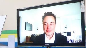 Lanjutkan Akuisisi Twitter Elon Musk Kemungkinan Akan Bangun Platform Media Sosial Baru