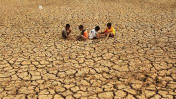 The Impact Of Extreme Drought In Central Papua, 6 People Died