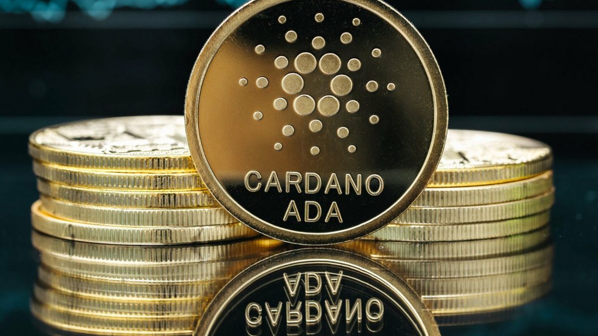 Harga Cardano Turun, Whale Kripto Mulai Nyerok Koin ADA