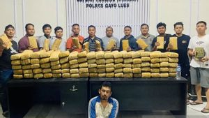 警方在Gayo Lues Aceh Mountains逮捕了一名190公斤大麻携带者