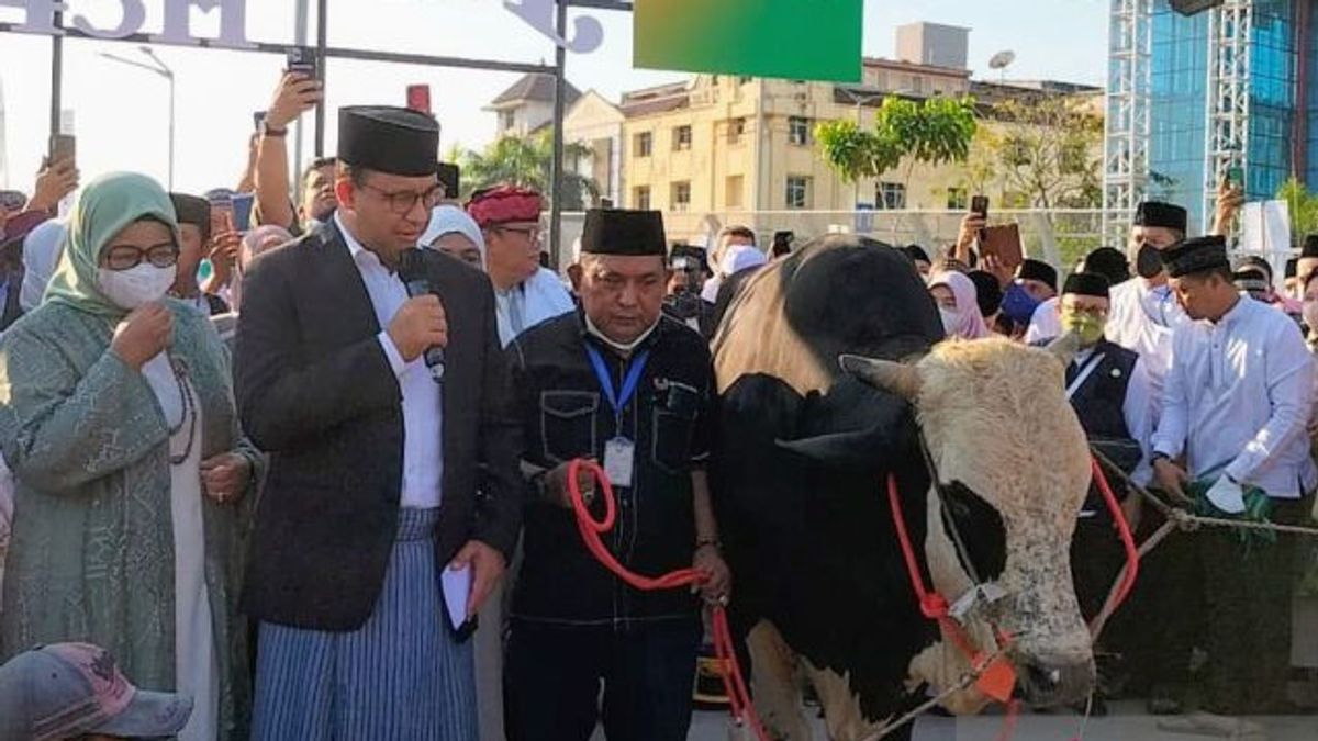 Anies Baswedan打算在JIS中牺牲第024号奶牛，但被指控政治化