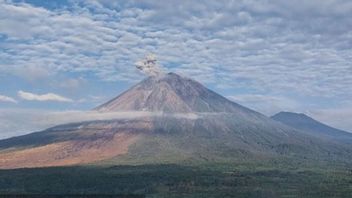 Semeru Kembali Meletus Kamis Pagi, PVMBG Tetapkan Status Siaga