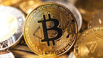 Jangan Lakukan 5 Hal Ini Jika Tidak Mau Rugi dalam <i>Trading</i> Bitcoin