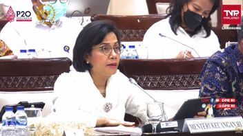 Indonesia jadi Ketua ASEAN 2023, Sri Mulyani Minta Tambahan Anggaran Rp95 Miliar ke DPR