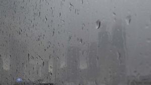 BMKG Prakirakan Jakarta Timur dan Selatan Hujan Petir