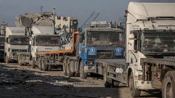 Convoy Of Hundreds Of Food Aid Trucks For Gazans Is Recorded