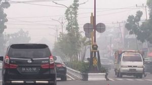 Masalah Kabut Asap Lintas Negara ASEAN dapat Diselesaikan Lewat Penguatan AATHP