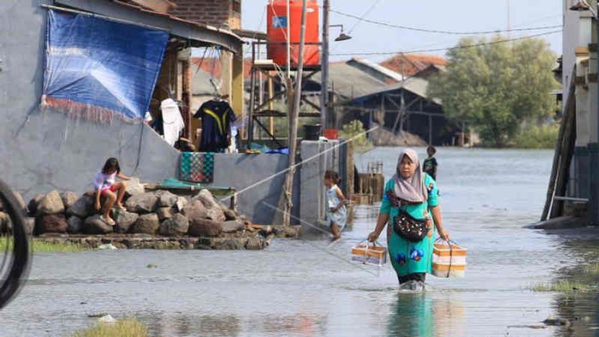 Rob Flood Subscription Chaque Année, Indramayu Soumet Le Développement De Breakwater Au Gouvernement Central