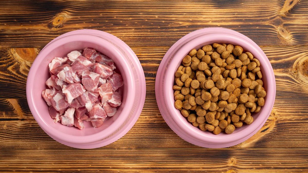 anabol : Comment préparer à la maison, pratique et préférée pour le chat