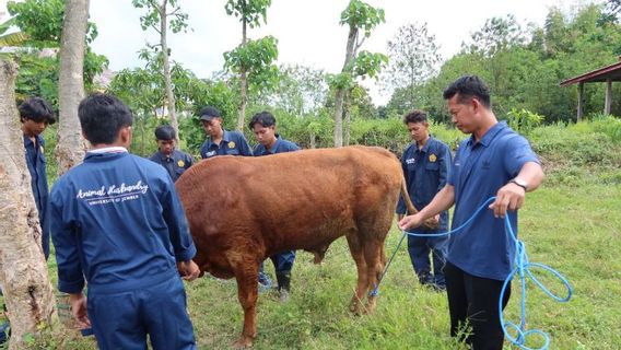 Pakar Unej Beri Tips dan Trik Memilih Hewan Kurban yang Baik