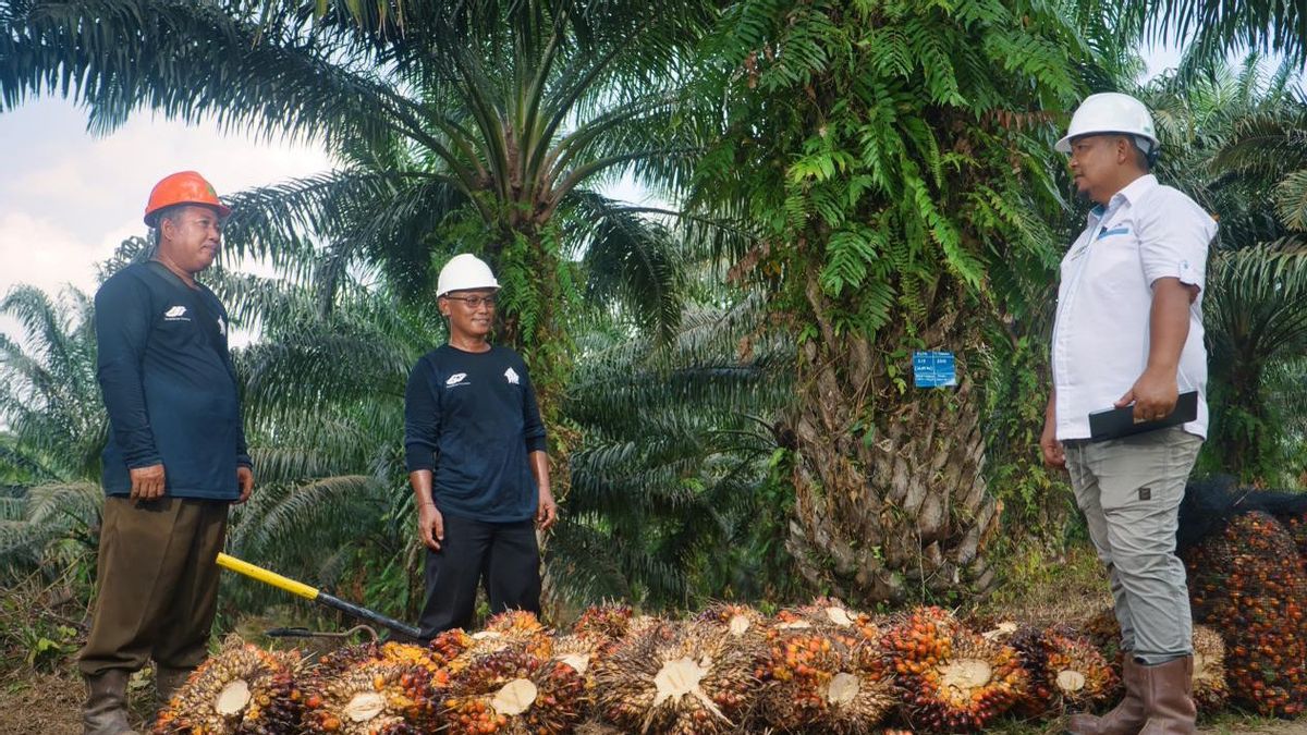 Stratégie inclusive de PTPN IV Palmco, gérer la diversité des 55 groupes ethniques pour stimuler la productivité