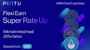 PINTU Hadirkan Imbal Hasil Fitur Flexi Earn Hingga 25 Persen