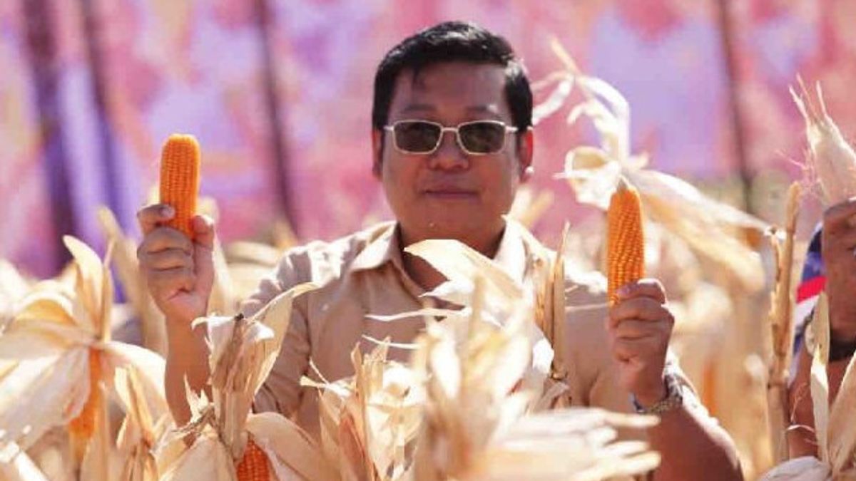 باباناس: توقف واردات الذرة لاستيعاب الإنتاج المحلي