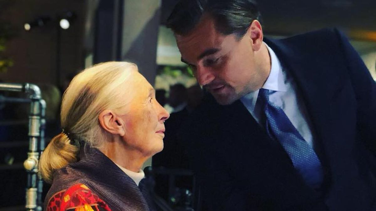 人文学家简·古道尔(Jane Goodall) 去世,莱昂纳多·迪卡普里奥(Leonardo DiCaprio)悲伤