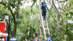 Seratusan Rumah di Karawang Rusak Diterjang Puting Beliung