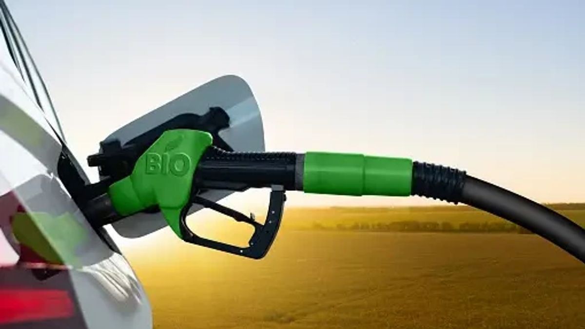 Mengenal Apa Itu Bioetanol, BBM Hijau dengan Oktan yang Lebih Tinggi dari Pertamax 