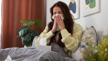 目を覚ます後にくしゃみをする、アレルギーの専門家によると、4つの要因によって引き起こされる