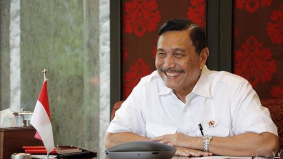 Menko Luhut: Indonesia-Jepang Kerja Sama Tangani Isu Lingkungan