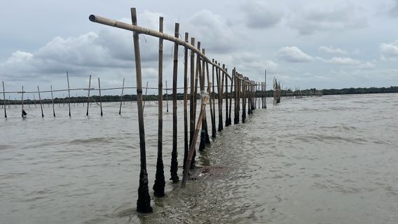 Tukang Pemasang Pagar Laut di Pesisir Tangerang Mengaku Dibayar Rp125 Ribu Per Hari