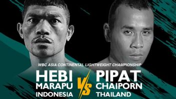 3インドネシアのボクサーは、タイで来年7月8日に戦う、ヘビマラプがメインパーティーになる