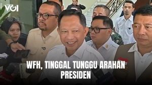 Siap-Siap WFH, Mendagri Tito Karnavian: Tinggal Tunggu Arahan Presiden Prabowo Subianto