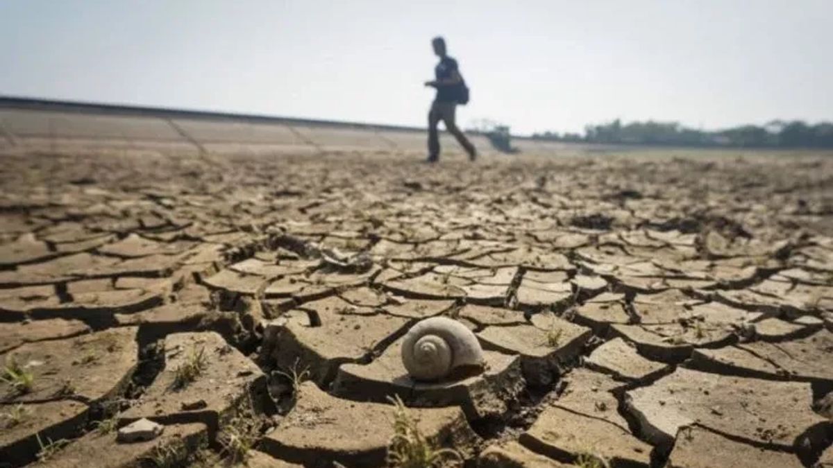 ボゴールの摂政は、エルニーニョによる干ばつに直面してパニックにならないように住民に求めました