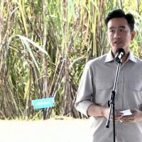 Secara Fungsional, Penugasan Gibran Rakabuming Raka Urus Papua Tidak Diperlukan