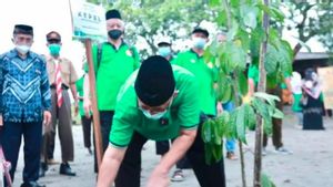 Berita Yogyakarta: DPP LDII Menanam Ratusan Pohon Kepel Di Yogyakarta