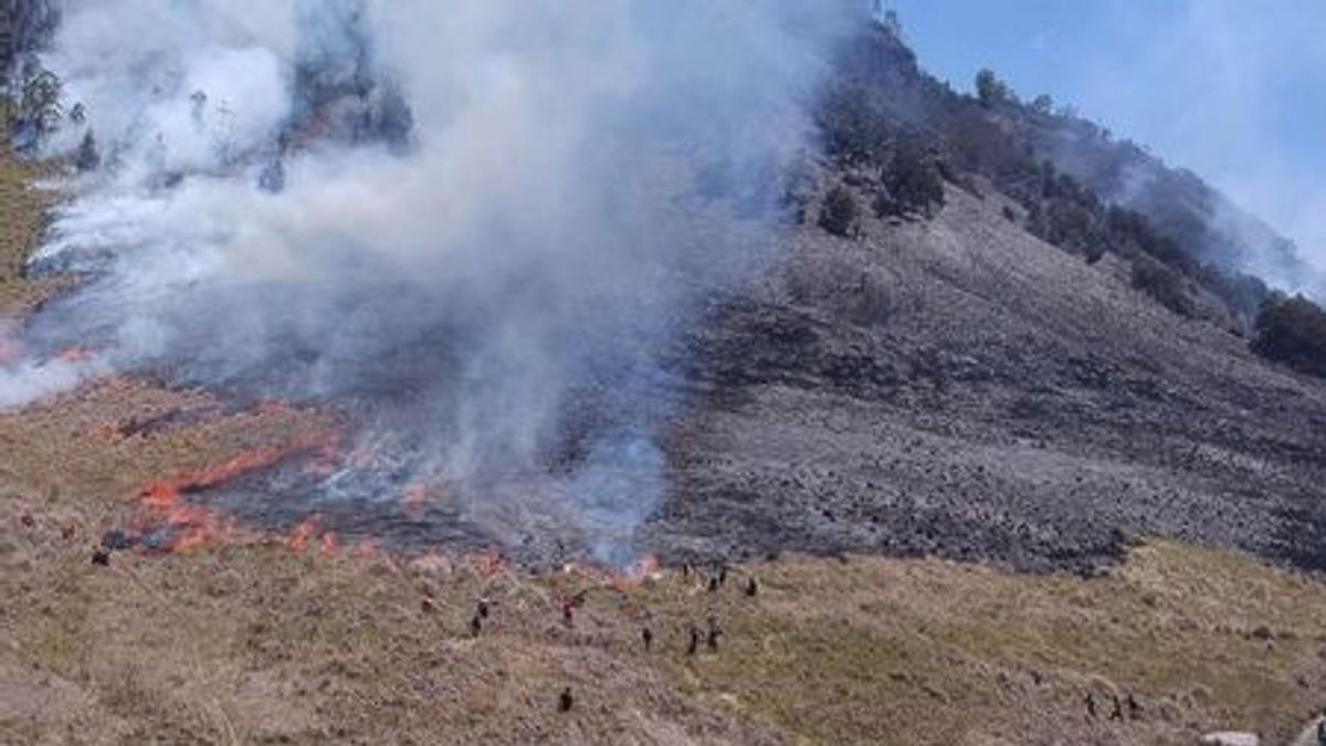 フレアの結果として燃えるブロモ山の年表:プレウェッド活動のため予測