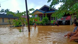 Banjir, Pemindahan Ibukota ke Penajam Paser Utara Diminta agar Ditinjau Lagi