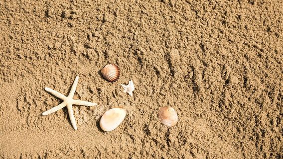 Différemment entre sédiments et sable de mer, ce qui est difficile pour les gens de voir