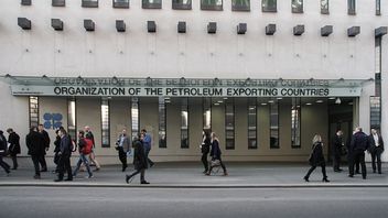 الإمارات العربية المتحدة تخرج من أوبك، أسعار النفط العالمية تنخفض أو ترتفع