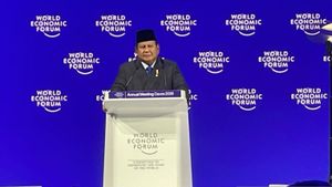 Di WEF, Prabowo Kenalkan Istilah 