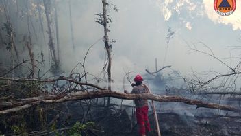 지난 24 시간 동안의 재난 지배, BNPB는 확산 위험을 경고합니다.