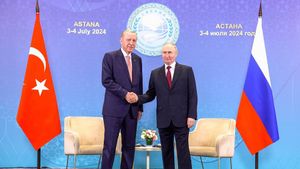 أردوغان وبوتين يتفقان على التعاون النشط في مجال السياسة الدولية