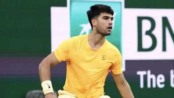 인디언 웰스 개막전에서 완벽한 알카라즈, 디미트로프 꺾어