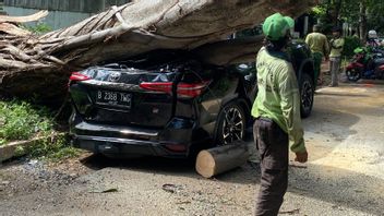 Mobil Fortuner Hitam Milik Pegawai Mabes Polri Tertimpa Pohon Roboh