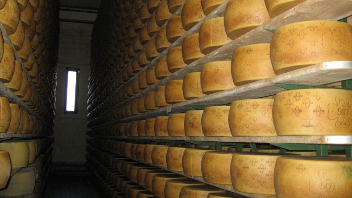 グラナ・パダーノ工場のオーナー、数千個のチーズに埋もれて死亡、遺体を避難させるのに11時間かかった