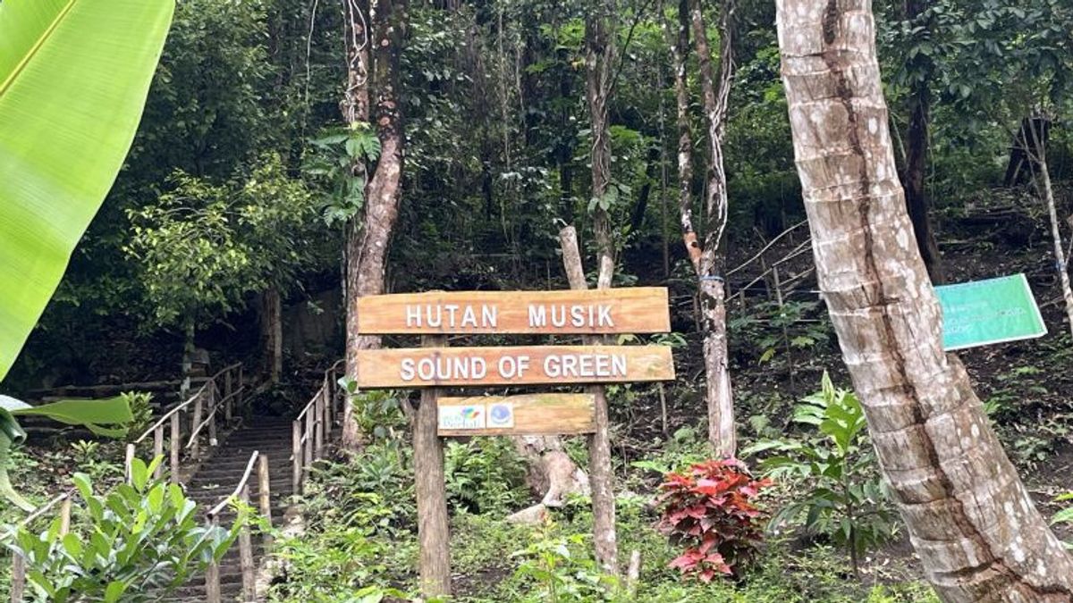 Ambon possède désormais une forêt de musique, donc les nouveaux choix pour profiter de l'harmonie entre nuages et nature