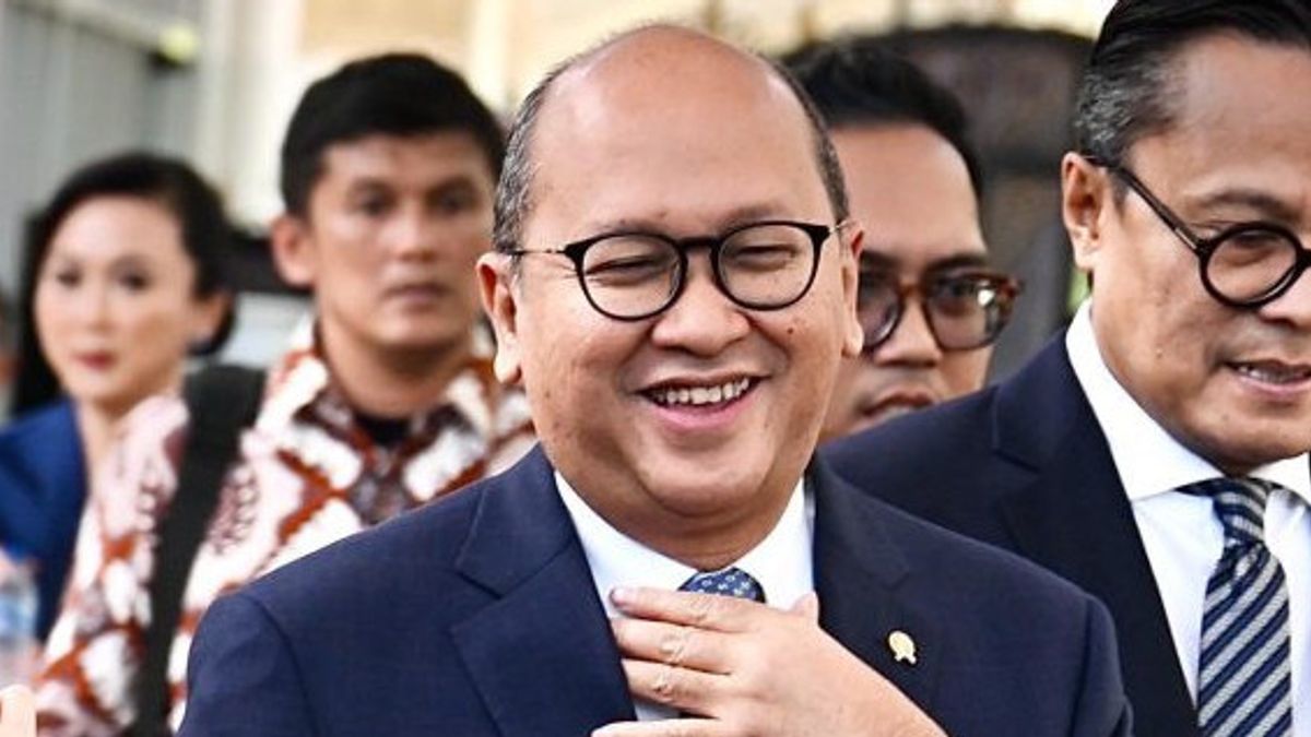 Rosan Sebut Jatuhnya IHSG Bukan karena Danantara