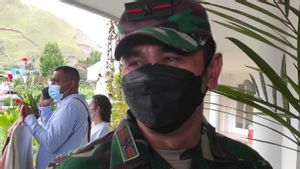 Kontak Tembak TNI dan KKB di Puncak, Danrem: Tidak Ada Prajurit yang Terluka