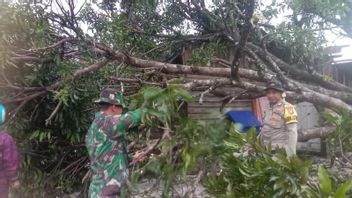 De fortes pluies à Natuna Déclenche des arbres Tumpang Timpa maison d’habitants, la rivière Meluap Closure Akes Road