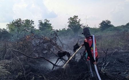 Sepekan 2 Kali Karhutla, BPBD Minta Warga Sulteng Tingkatkan Kewaspadaan